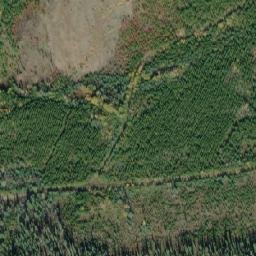 Satellite imagery of Woodpecker Hill, CA
