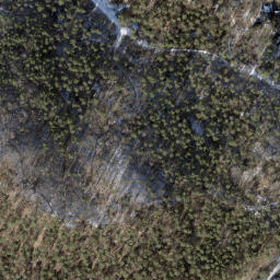 Satellite imagery of Falkenberg, DE