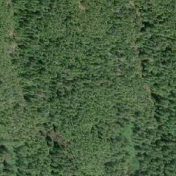 Satellite imagery of Mount Frank, CA