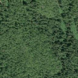 Satellite imagery of Mount Frank, CA