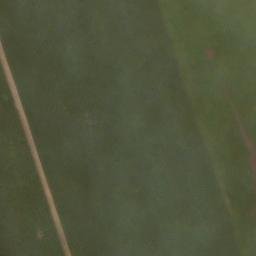 Satellite imagery of Steinberg, DE