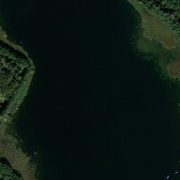 Satelita