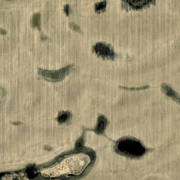 Satellite imagery of Meridian Street / Quadrant Avenue, CA