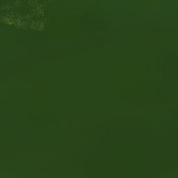 Satelita