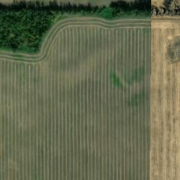 Satellite imagery of Meridian Street / Quadrant Avenue, CA