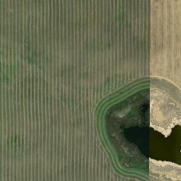 Satellite imagery of Meridian Street / Quadrant Avenue, CA
