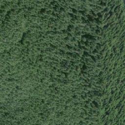 Satellite imagery of Halsey Point, CA