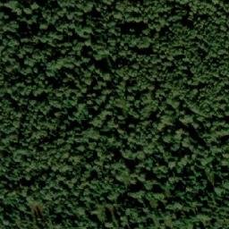 Satellite imagery of Прав. Крестовка, RU
