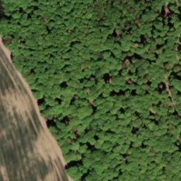 Satellite imagery of Buchenberg, DE