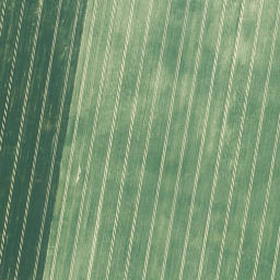Satellite imagery of Kothscheberg, DE