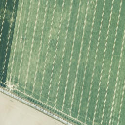 Satellite imagery of Kothscheberg, DE