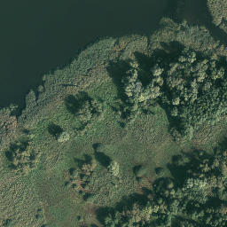 Satelita