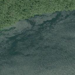 Satellite imagery of Letitia Point, CA