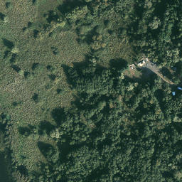 Satelita