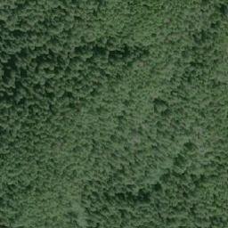 Satellite imagery of Mount Frye, CA
