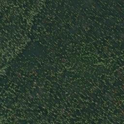 Satellite imagery of Noel Fergusson Hill, CA
