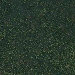 Satellite imagery of Noel Fergusson Hill, CA