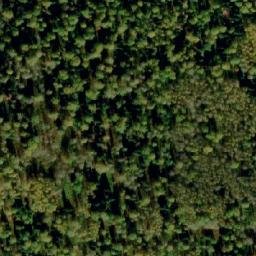 Satellite imagery of Устье Полгашты, RU