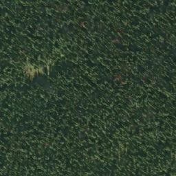 Satellite imagery of Noel Fergusson Hill, CA
