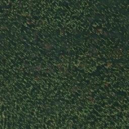 Satellite imagery of Noel Fergusson Hill, CA