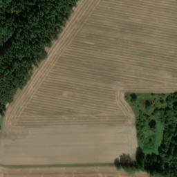 Satellite imagery of Borgsberg, DE
