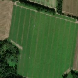 Satellite imagery of Borgsberg, DE