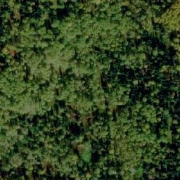 Satellite imagery of Устье Полгашты, RU