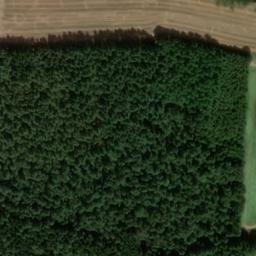 Satellite imagery of Borgsberg, DE