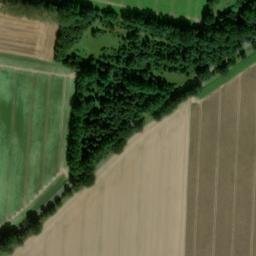 Satellite imagery of Borgsberg, DE