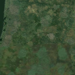 Satelita