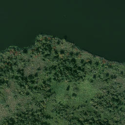 Satelita