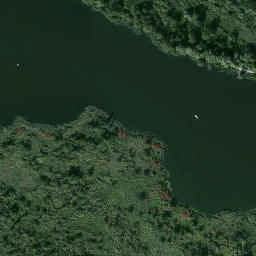 Satelita