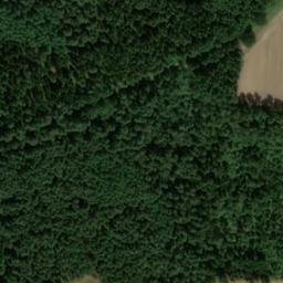 Satellite imagery of Borgsberg, DE