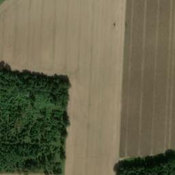 Satellite imagery of Borgsberg, DE