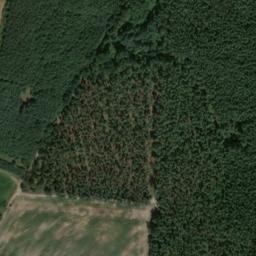 Satellite imagery of Buchberg, DE