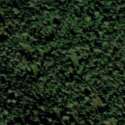 Satellite imagery of Земелье, RU