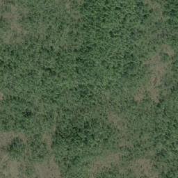 Satellite imagery of Yolk Point, CA