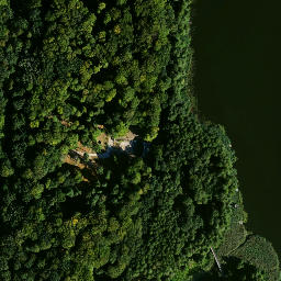 Satelita