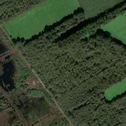 Satellite imagery of Grienenberg, DE