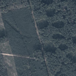 Satelita