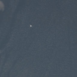 Satelita
