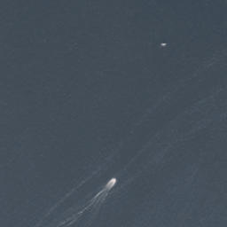 Satelita