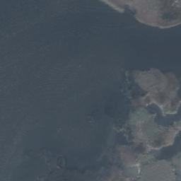 Satelita
