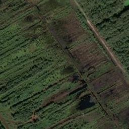 Satellite imagery of Grienenberg, DE