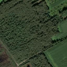 Satellite imagery of Fuchsberg, DE