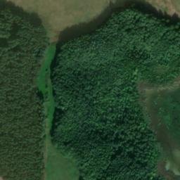 Satellite imagery of Kienhorst, DE