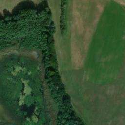 Satellite imagery of Kienhorst, DE