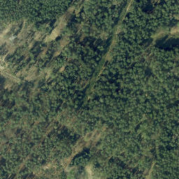 Satellite imagery of Jägerstein, DE