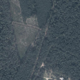 Satelita