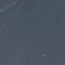 Satelita